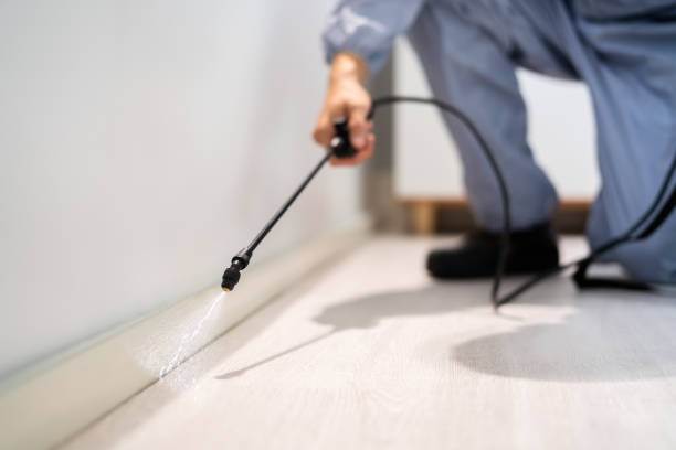 Licensed Termite Control service in Mount Olive, IL - Nex Pest Control