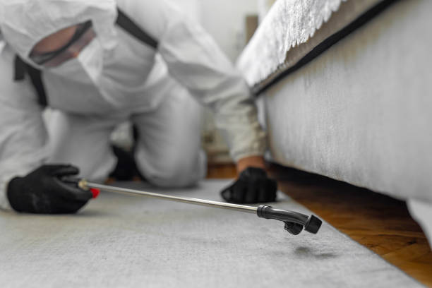 Professional Termite Control technician working in Mount Olive, IL