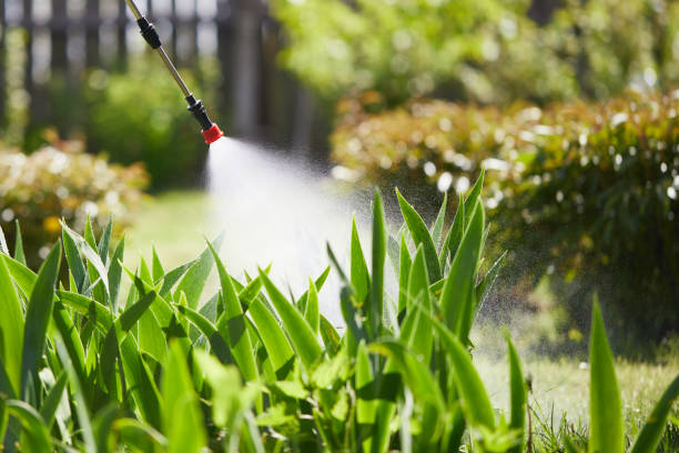 24/7 Emergency Termite Control experts in Mount Olive, IL