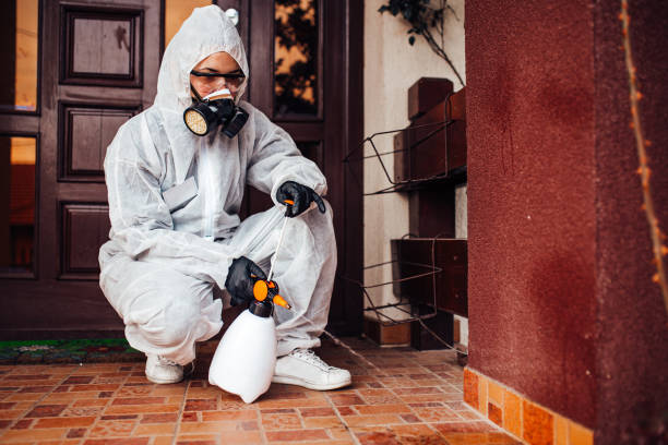 Reliable Termite Control contractor in Mount Olive, IL by Nex Pest Control