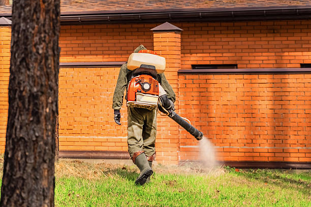 Trusted Termite Control service in Mount Olive, IL - Nex Pest Control